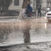 O'zbekistonda jazirama issiqdan so'ng salqin va yomg'irli ob-havo kutilmoqda