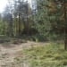 Near Saint Petersburg, an Uzbek young man was stabbed