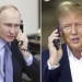 Putin Trampni AQSH mustaqilligining 250 yilligi bilan tabrikladi
