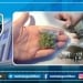 Namanganda narkotik modda saqlovchi shaxs ushlanildi