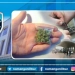 A person possessing narcotic substances was detained in Namangan