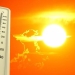 In Tashkent, on July 23, the temperature will reach 41 degrees.