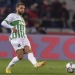 Berardi rejected offers from top clubs, does not regret it