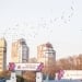 SKA-Xabarovsk mavsum abonementlari sotuvga chiqdi