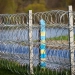Российская молодежь выражает недовольство военной службой