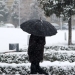 Cold weather persists in Uzbekistan, snowfall is expected