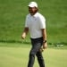 Tommi Flitvud golf topini pashsha yordamida tushirdi