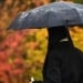 Tomorrow there will be short-term rain in Tashkent