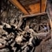 Uzbek worker died in the Qizilqol mine