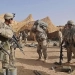 66 Russian soldiers from Uzbekistan were killed