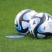Lion young footballer arrested for murder