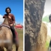 Amerikalik sayyoh dunyoning barcha davlatlarini aylanib rekord o'rnatdi