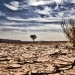 Water scarcity is increasing in East Anglia