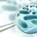 Enterococcus bacteria found in drinking water in the city of Passau