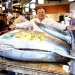 The first tuna auction of the year set a record in Tokyo