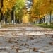 В начале октября в Узбекистане теплая и ветреная погода
