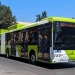 Bus speed in Tashkent will be increased to 24 km/h