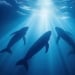 Marineland kitlarni yo‘q qilish bilan tahdid qilmoqda