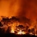 The largest forest fire in France in 75 years is ongoing