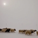 Severe winter in Mongolia killed 26 thousand livestock