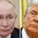 Tramp va Putin yaqin orada uchrashadi, tinchlik muzokarasi boshlanadi