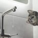 Temporary Interruption of Cold Water Supply in Tashkent