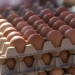 Russia exported eggs to the USA in 2025