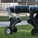 Xitoyda sun’iy intellektli robot-itlar ishga tushdi