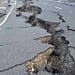 Decree on Strengthening Seismic Safety in Uzbekistan