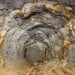 In Tashkent, a 2-ton gold plot was sold at a record price