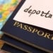 AQShdan yuzga yaqin eronlik deportatsiya qilindi