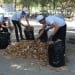 Nationwide Cleanliness Month Begins Across Uzbekistan