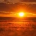 Clean fuel produced from sunlight rays