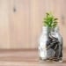 O‘zbekistonda investitsiya platformasi ishga tushiriladi