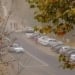 Atmospheric pollution in Tashkent has reached a record level