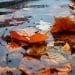 7 октября в Узбекистане сохранится бездождливая погода