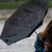 At the beginning of October, rain and cold weather in Uzbekistan