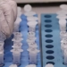Increase in the spread of chikungunya virus in Guangdong