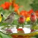 Over 48,000 disappearing new species have been recorded