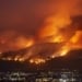In 2025, European forests faced major wildfires