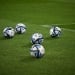 The Vitebsk women's team announced Buzova