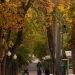 Weather in Uzbekistan will be variable on October 10