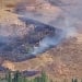 Лесной пожар в Бостанлыке быстро ликвидирован