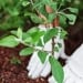 Green Initiatives Fund Established for Youth