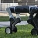 Artificial intelligence robot dogs launched in China