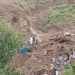 Landslide in western Sudan killed more than 1000 people