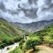 Hot and windy weather in Uzbekistan on August 15-17