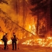 Bursa forest fires required evacuation