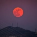 Avqust oyida noyob astronomik hodisa qisman oy tutilishi kuzatiladi