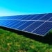 An agro-photovoltaic project will be launched in Tashkent